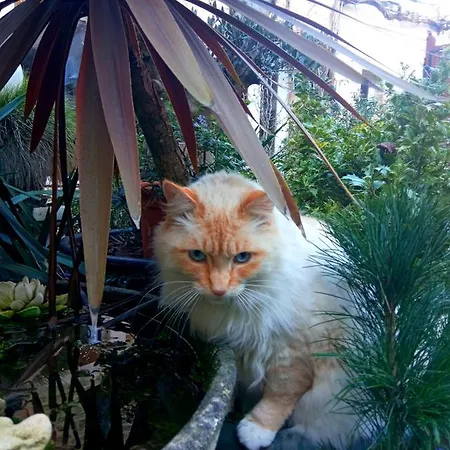 Mysaintaubin Saint-Aubin-Sur-Mer (Calvados)