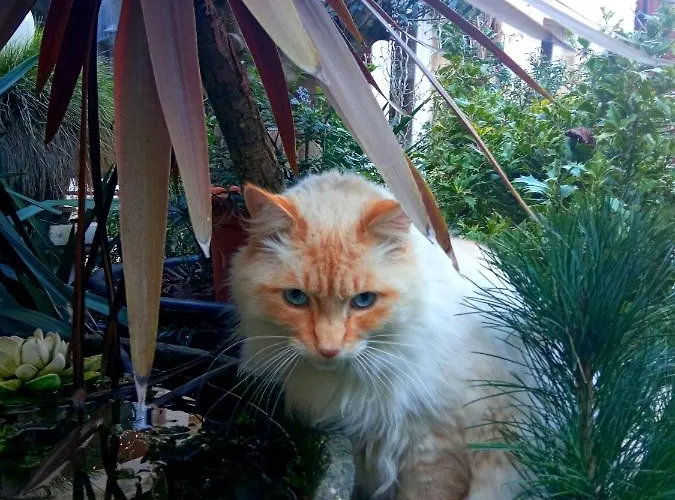 Mysaintaubin Saint-Aubin-Sur-Mer (Calvados)