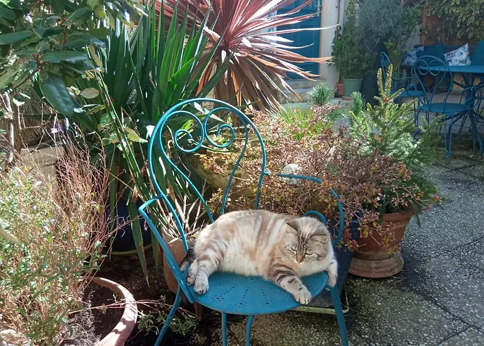 Mysaintaubin Bed & Breakfast